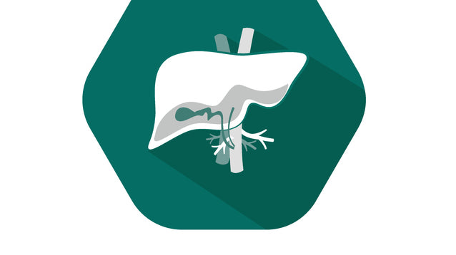 Unleashing the Power of the Liver: A Functional Medicine Perspective