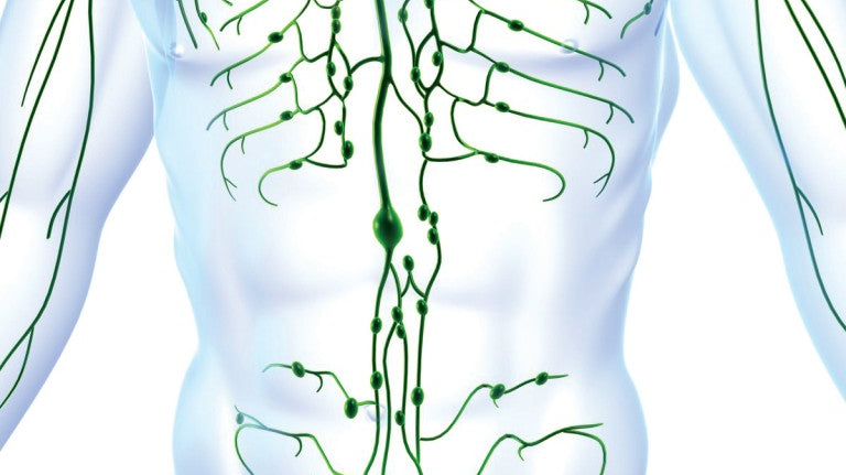 The Crucial Role of the Lymphatic System in Functional Medicine