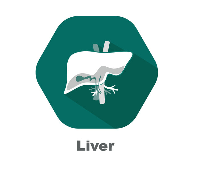 Unleashing the Power of the Liver: A Functional Medicine Perspective