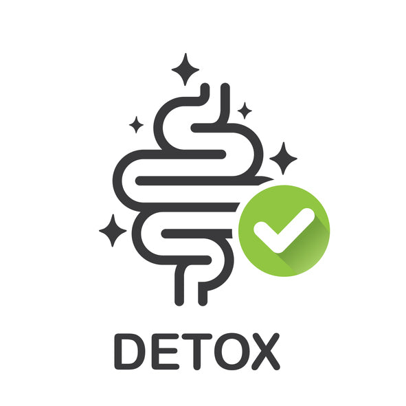 The Importance of Colon Cleansing Before Embarking on a Parasite Cleanse