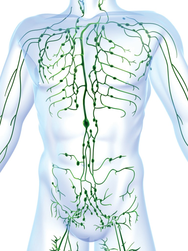 The Crucial Role of the Lymphatic System in Functional Medicine