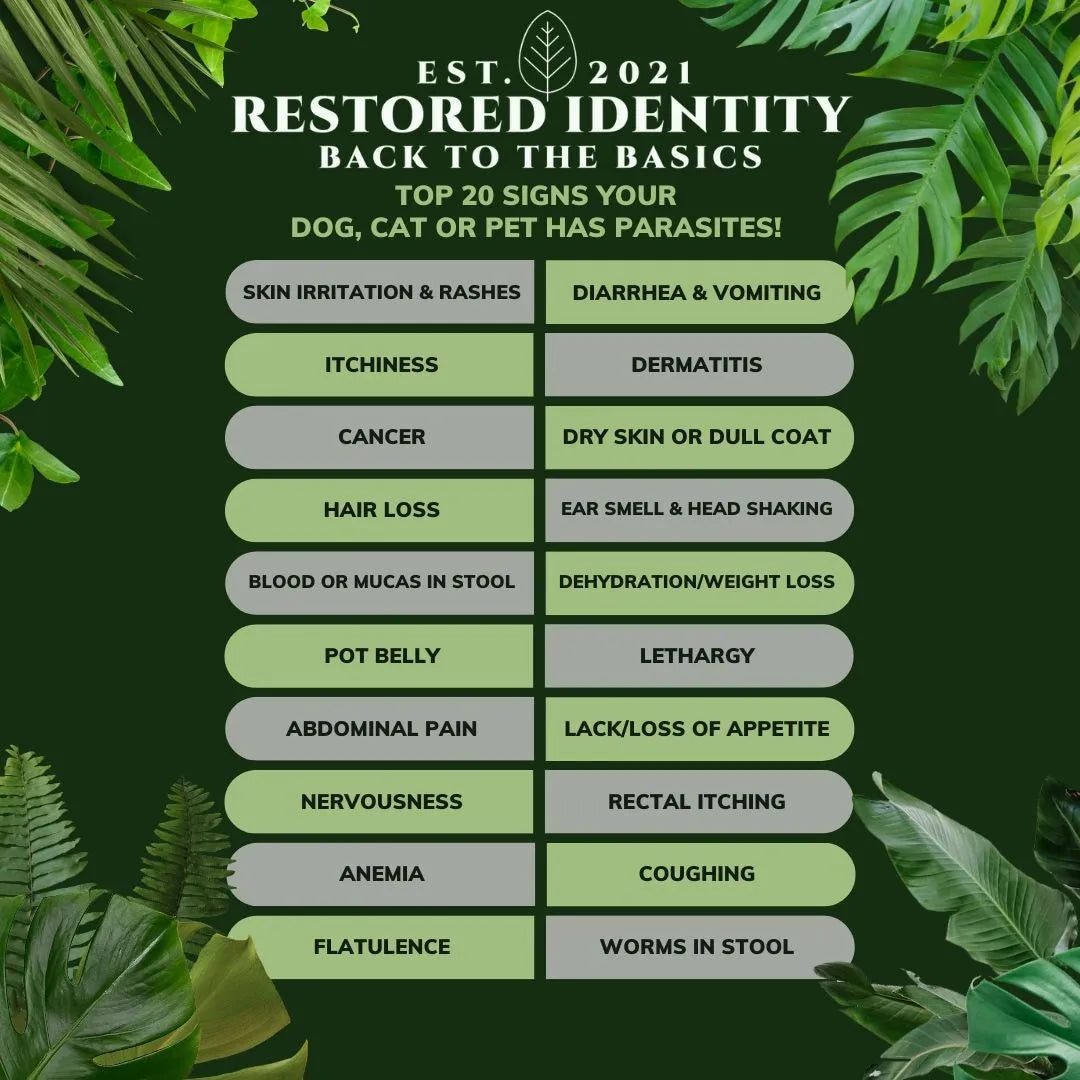 Parasite Cleanse for Dogs (Inflammation & Pain Help for Your Pet)