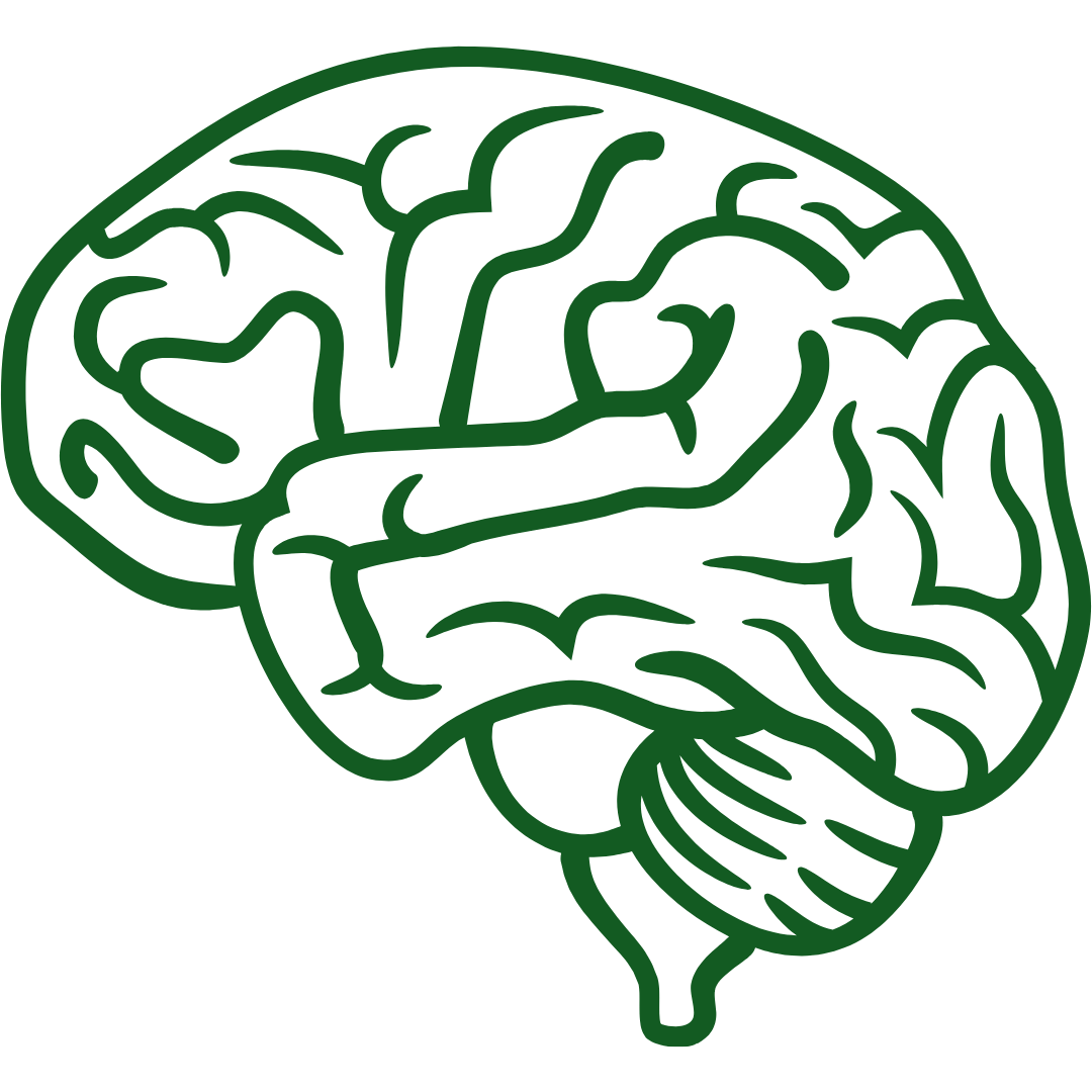 brain support supplements