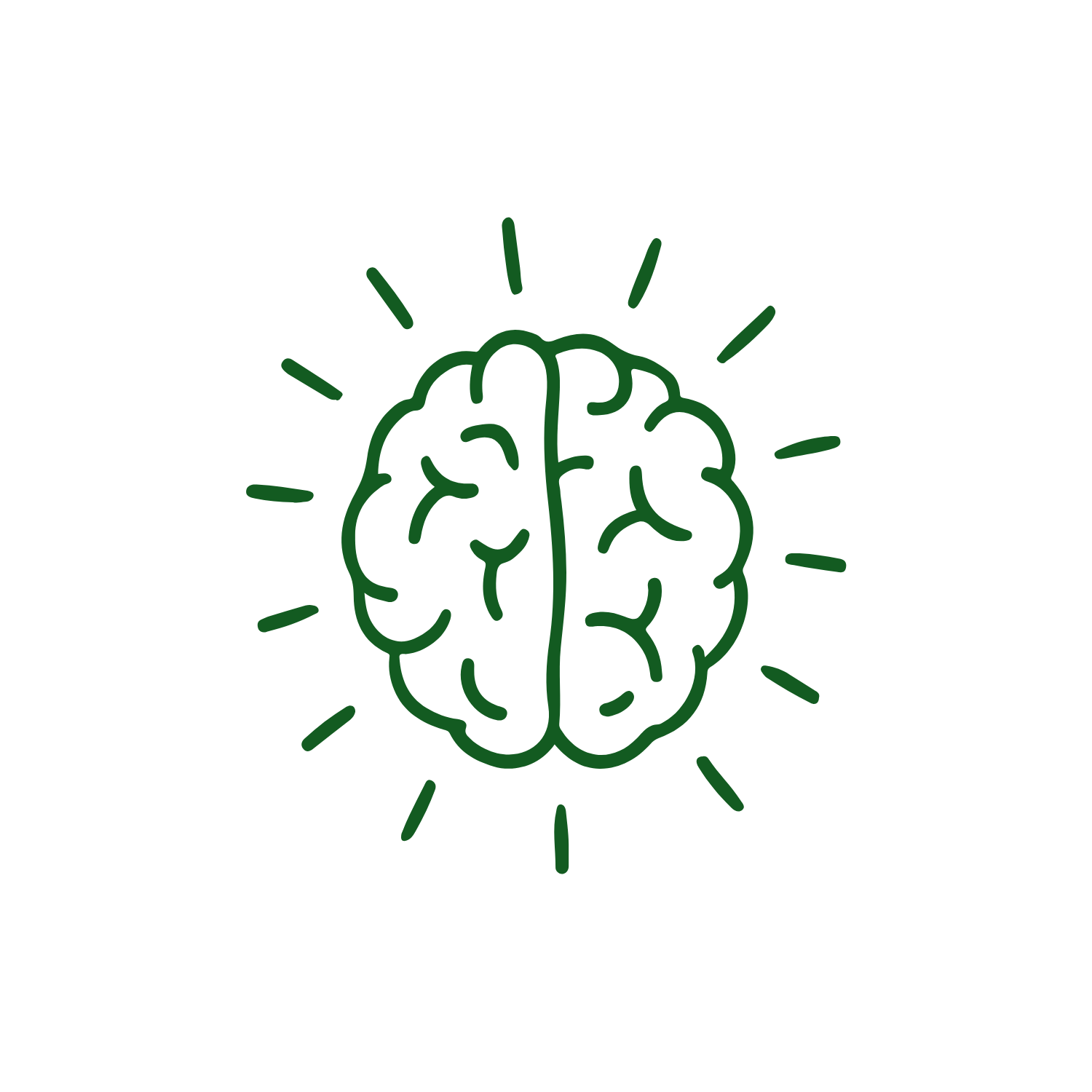 brain support supplements