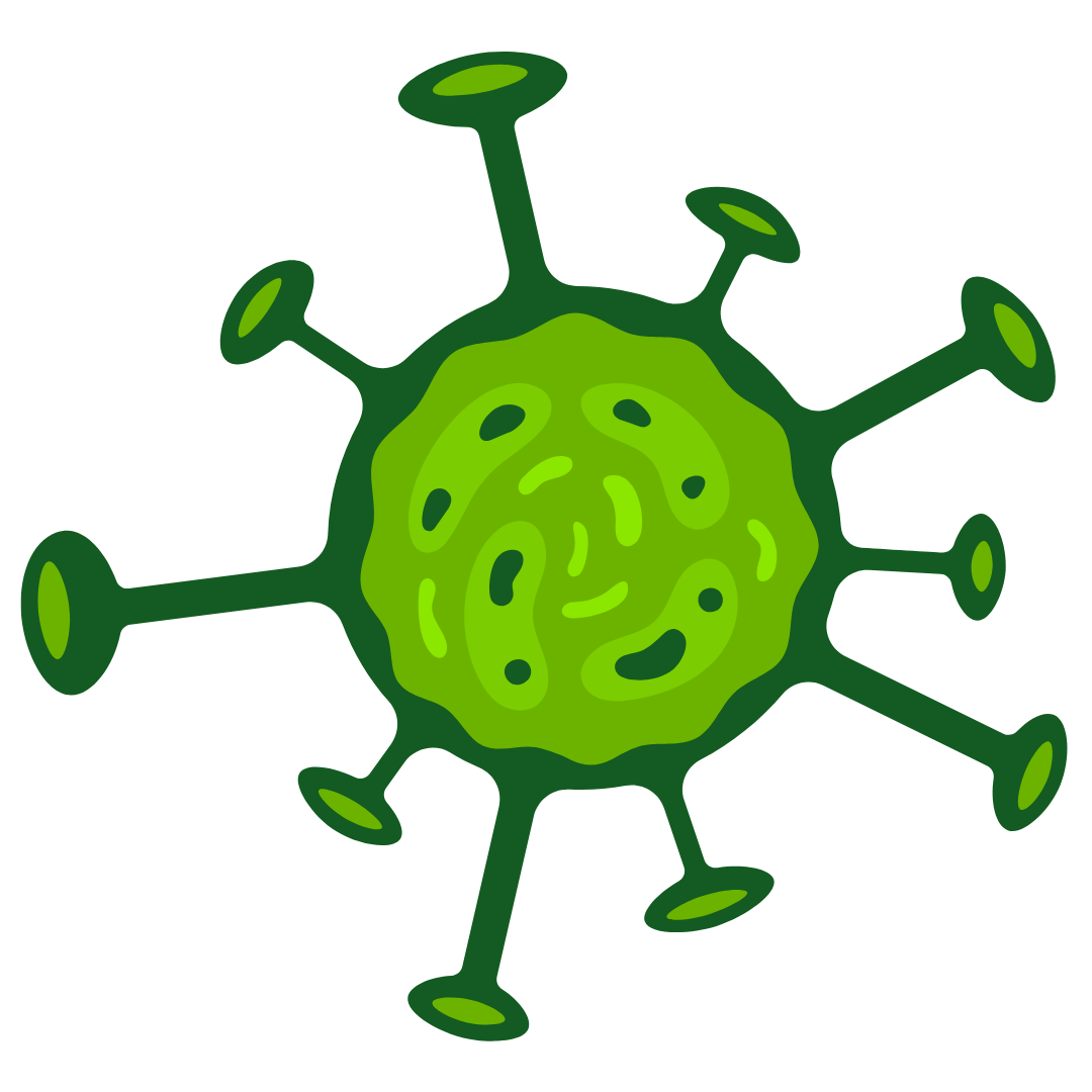 all natural cold and flu support