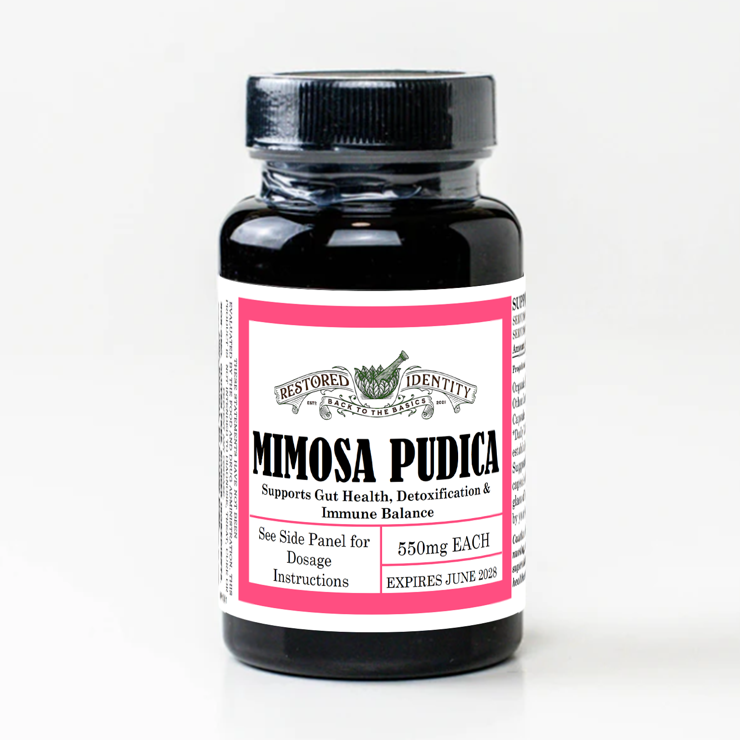 mimosa pudica